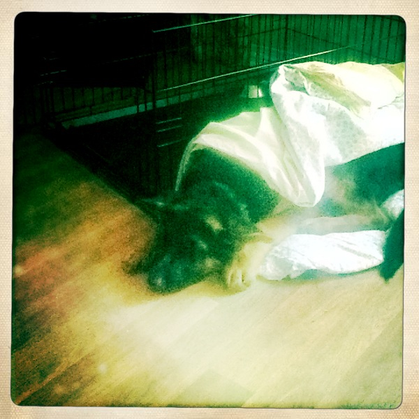 Hip 341619709.016480