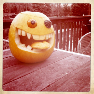 Hip 341620568.110182