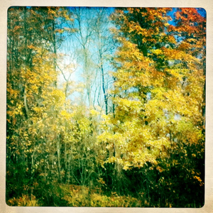 Hip 341592327.739082