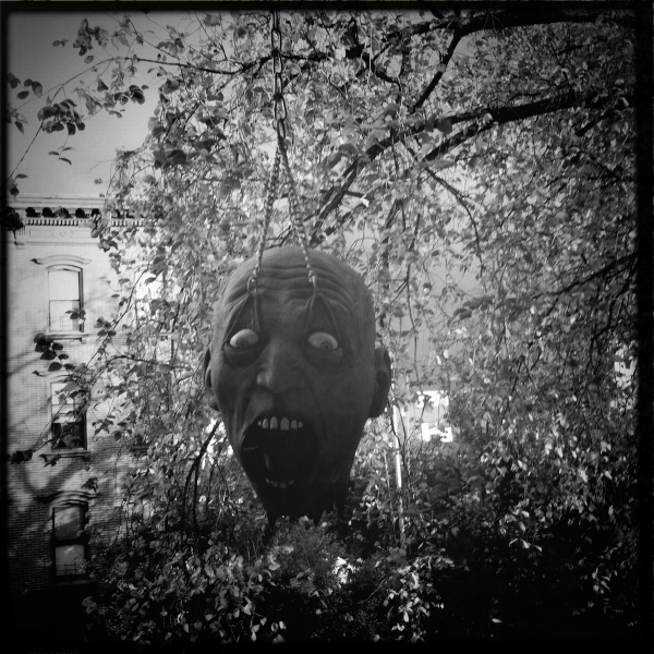 Hip 340318995.583226