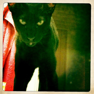 Hip 341621734.807392