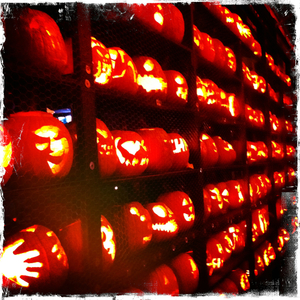 Hip 341554932.309605