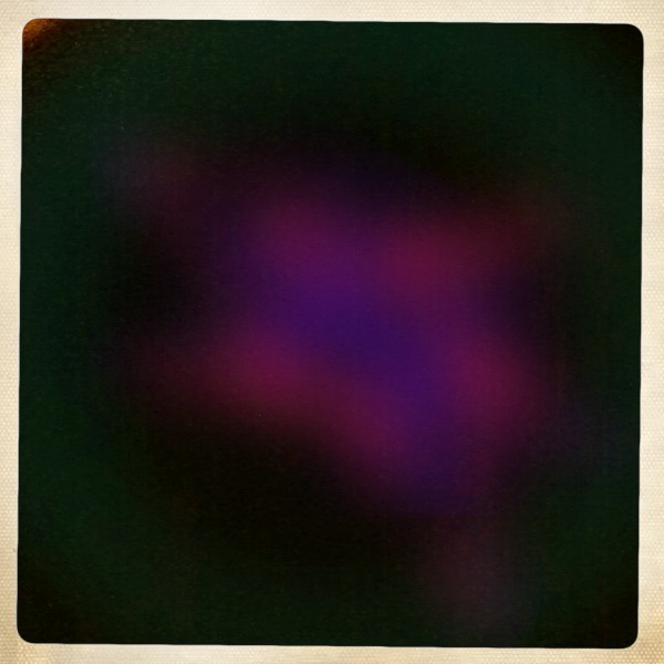 Hip 341625282.536899