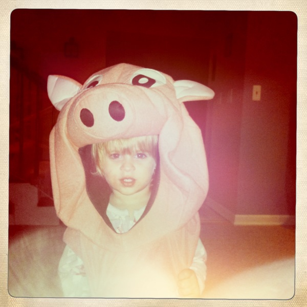 Hip 341626460.879372