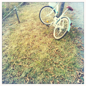 Hip 339151510.508587