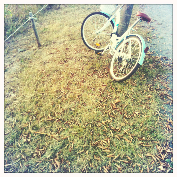 Hip 339151510.508587