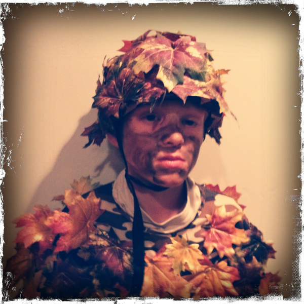 Hip 341632410.849562