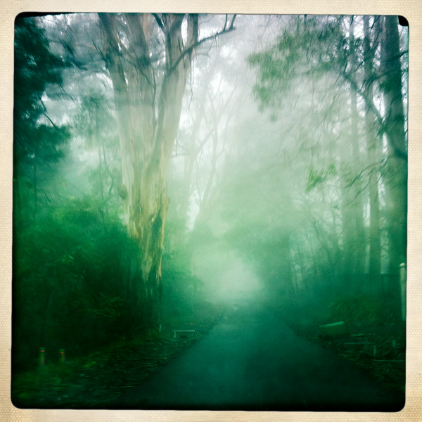 Hip 334542361.171223