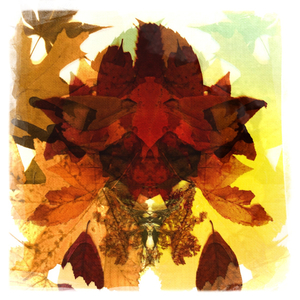 Hip 340234116.802628