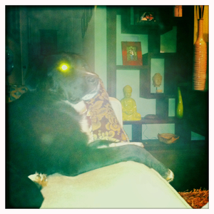 Hip 341382695.908239