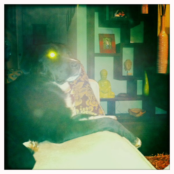 Hip 341382695.908239