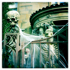 Hip 309370798.721144