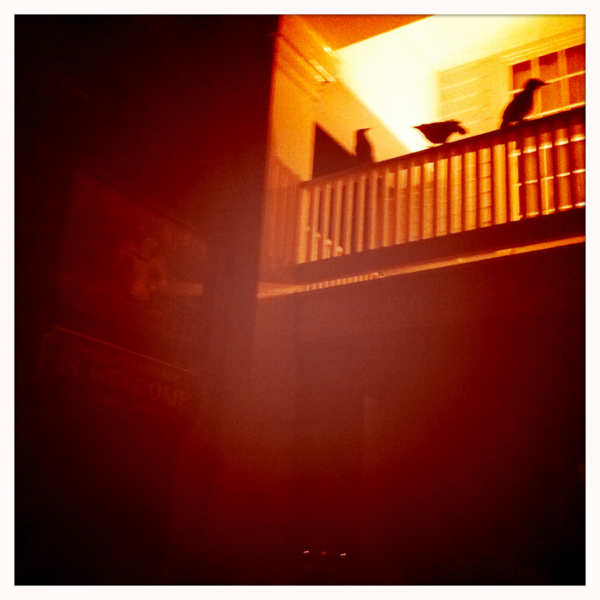 Hip 341630528.662071