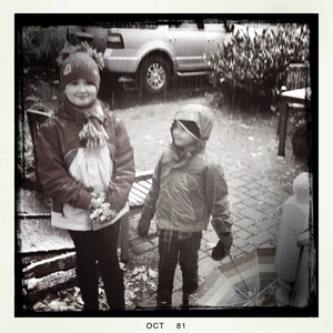 Hip 341598303.095339