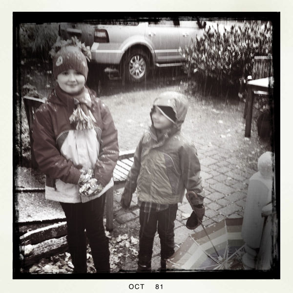 Hip 341598303.095339