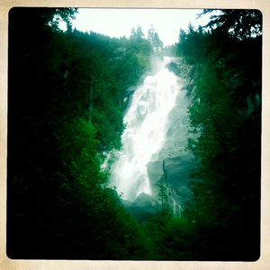 Hip 330121266.290369