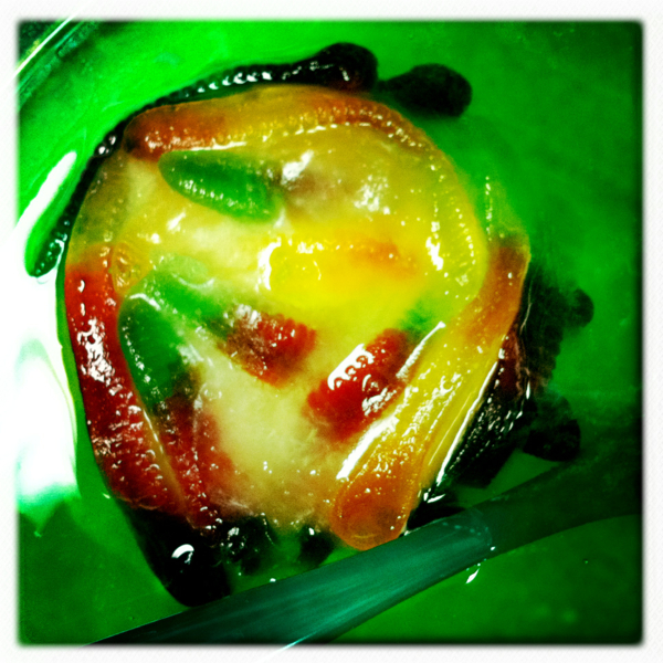 Hip 341448822.007840