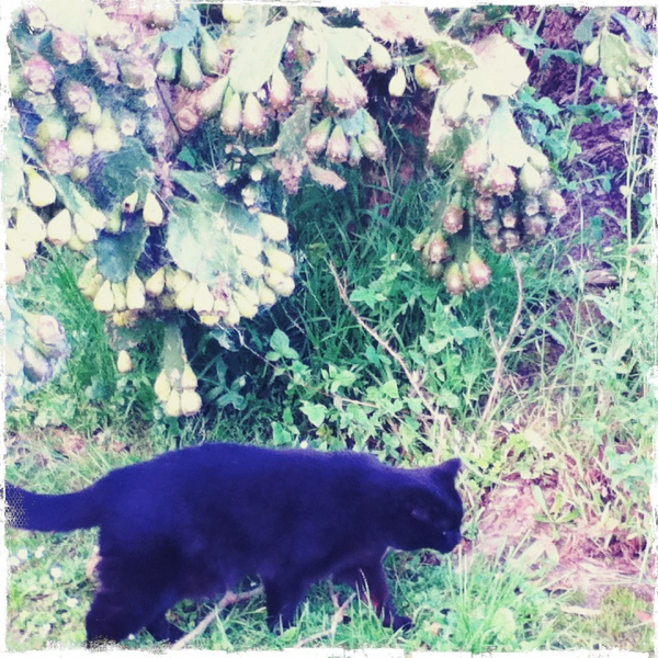 Hip 341041938.722253