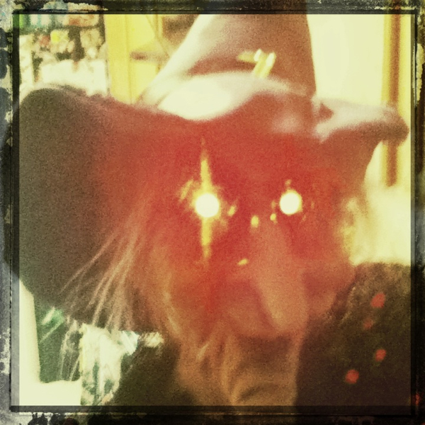 Hip 341606748.076287