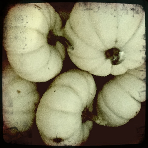 Hip 339798842.110562