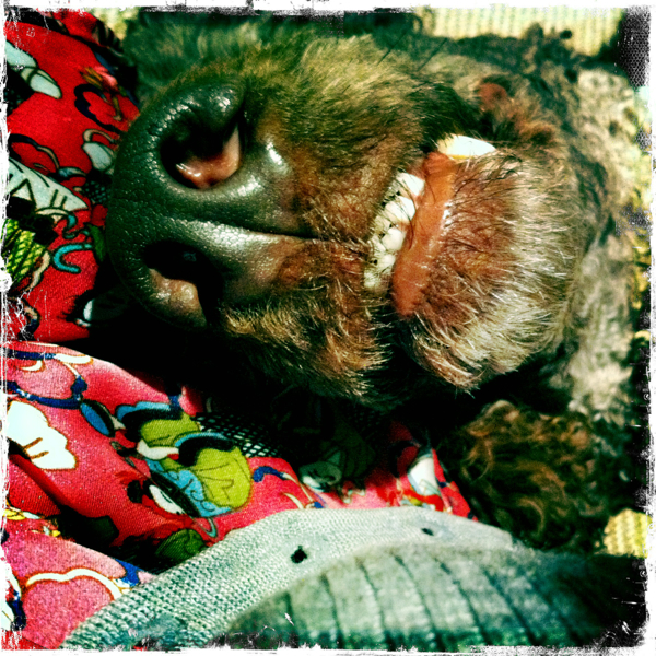 Hip 341636456.046641