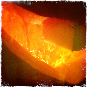 Hip 341635441.259241