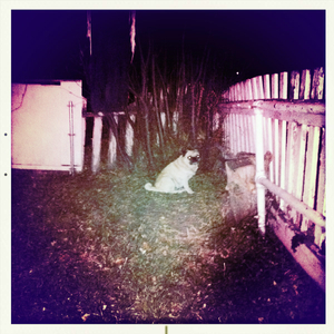 Hip 341639089.739731