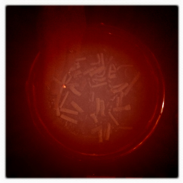 Hip 341646003.431879