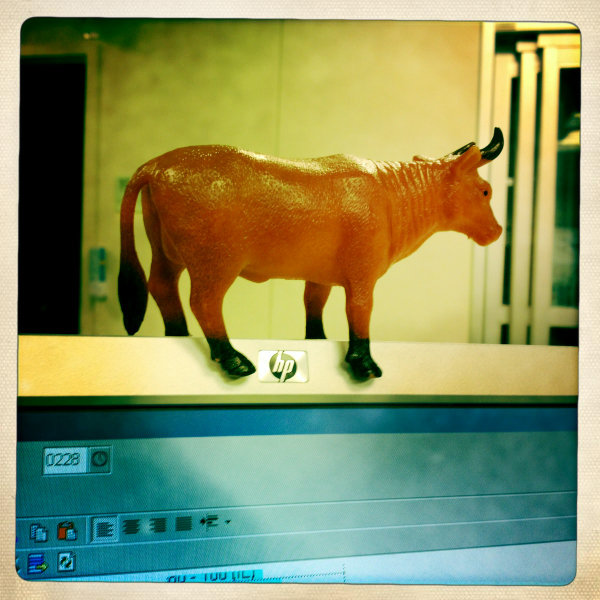 Hip 341060397.181413