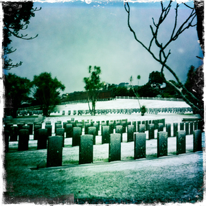 Hip 335078033.378739