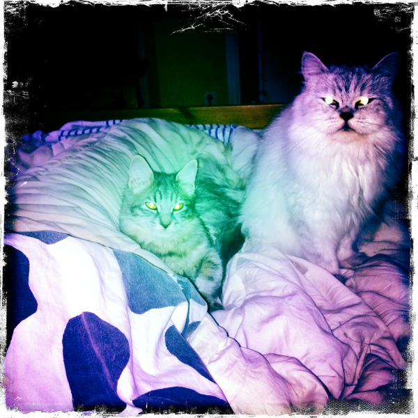 Hip 341651163.795268