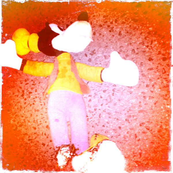 Hip 341657916.169692