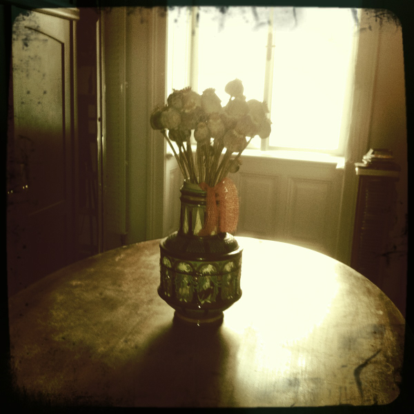 Hip 341594700.424408