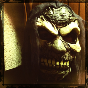 Hip 341601405.300885