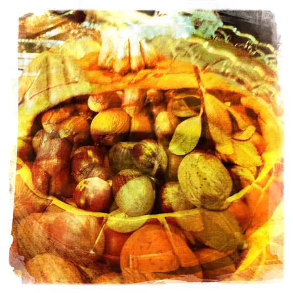 Hip 341667217.101603