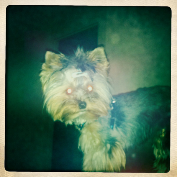 Hip 338924796.740574