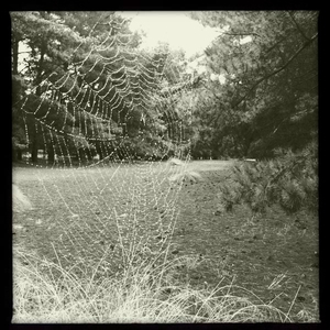 Hip 322017746.844935