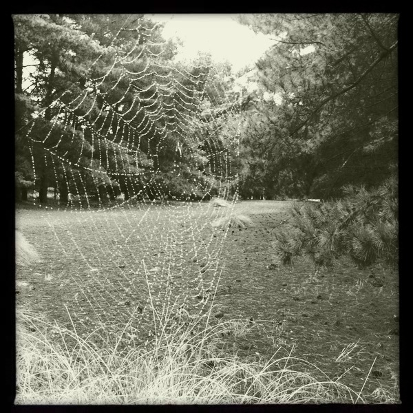 Hip 322017746.844935