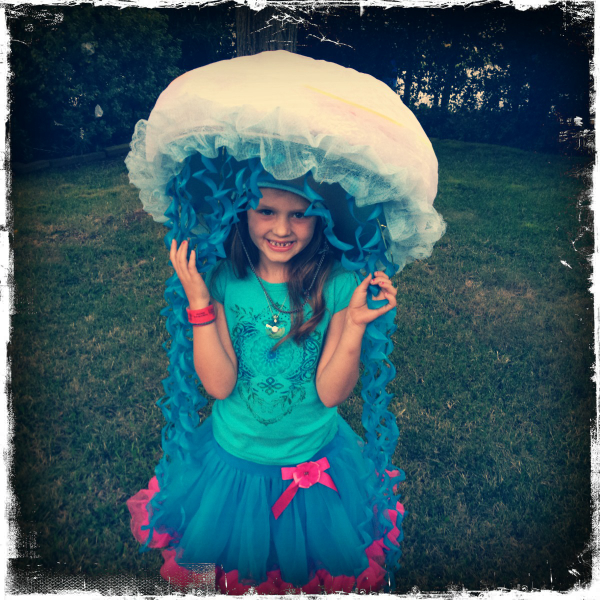 Hip 341542779.458035