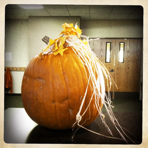 Hip 341678414.044768