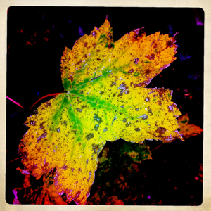 Hip 341677740.191382