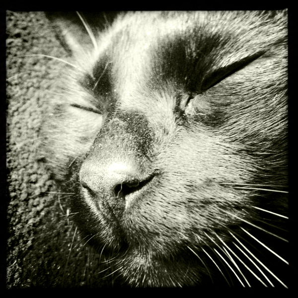 Hip 341679755.924876