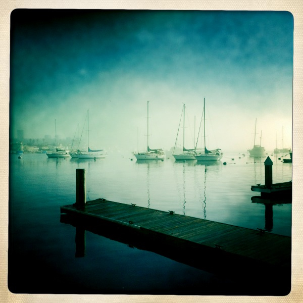 Hip 341682827.316943