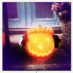 Hip 341683085.319563