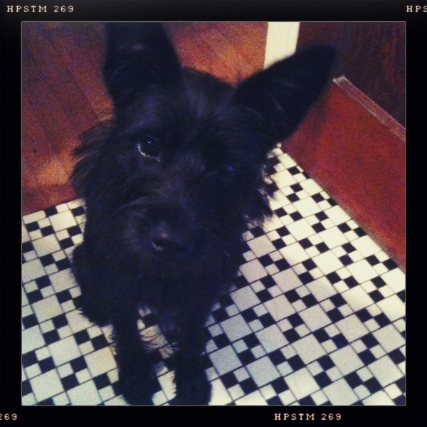 Hip 332197076.736771