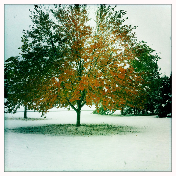 Hip 341610284.214363