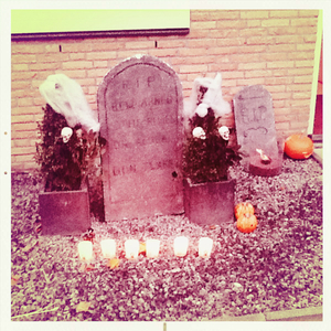 Hip 341684006.634627