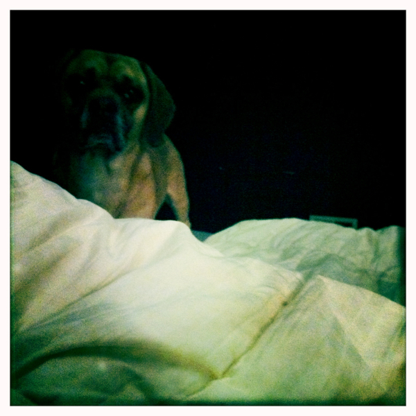 Hip 341632414.734918