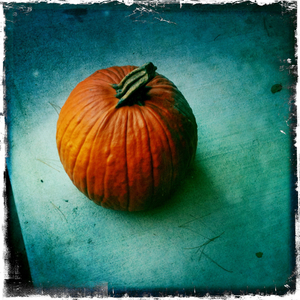 Hip 341684911.038125