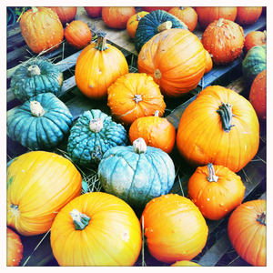 Hip 340987397.486030